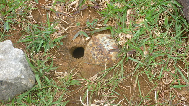 Caption: Unexploded cluster sub-munition, probably a BLU-26 type. Plain of Jars, Laos. | Credit: Seabifar - Wikimedia