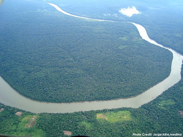 amazon-rainforest